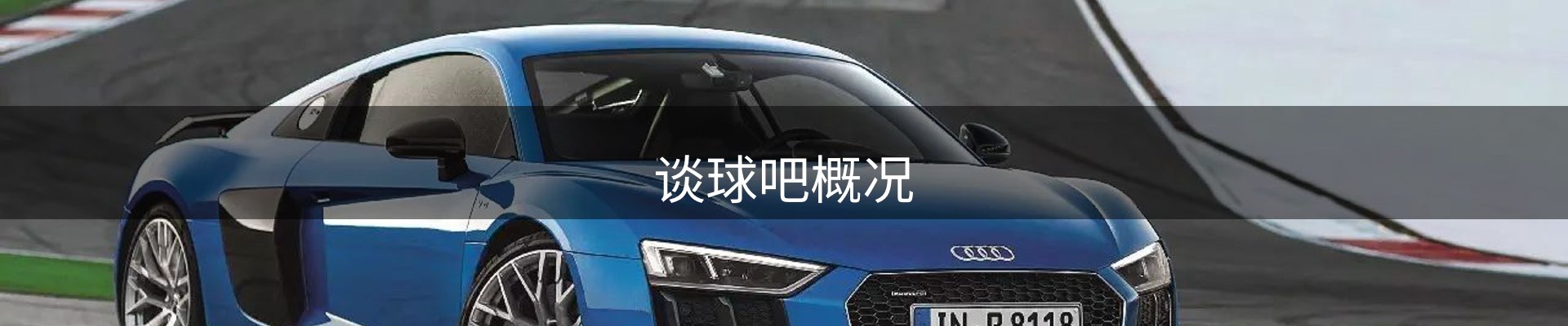 谈球吧概况